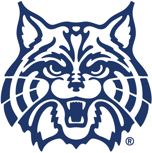 Arizona Wildcats 1990-Pres Alternate Logo iron on transfers for clothing